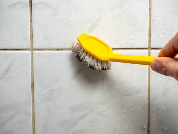 Best Residential Mold Remediation in Chlicothe, IL