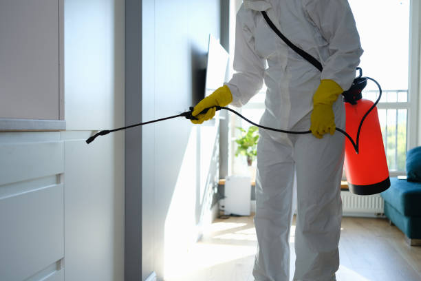 Best Mold Remediation for Schools in Chlicothe, IL