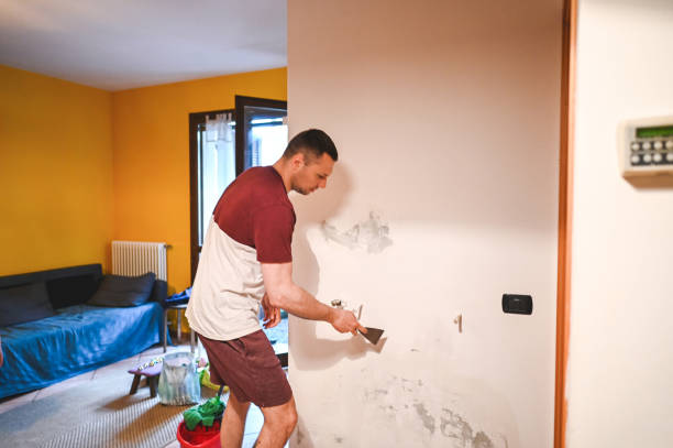 Best Localized Mold Remediation (e.g., coastal areas, humid climates) in Chlicothe, IL